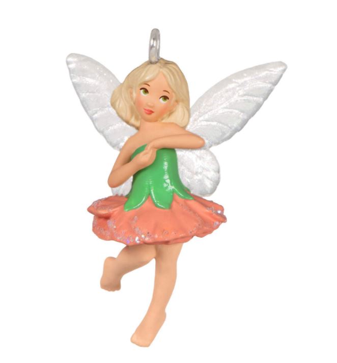 2024 Carnation Fairy - Miniature