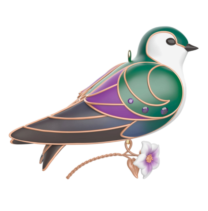 2024 Violet-Green Swallow - The Beauty of Birds 20th