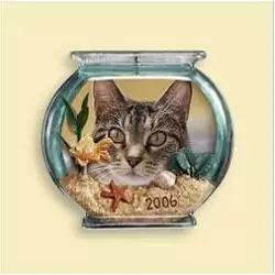 2006 Special Cat - Photo Holder