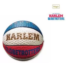 2011 Harlem Globetters