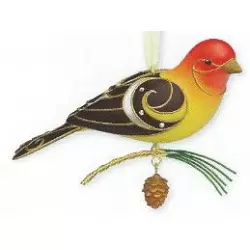 2015 Western Tanager - Beauty of Birds 11th
