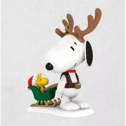Winter Fun With Snoopy