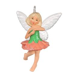 2024 Carnation Fairy - Miniature