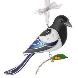 2026 Black-Billed Magpie - Beauty of Birds 22nd
