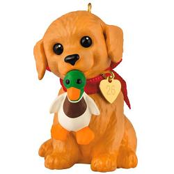 2026 Golden Retriever - Puppy Love 36th