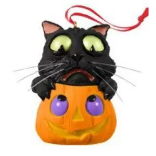 2013 Cat O'Lantern - Halloween