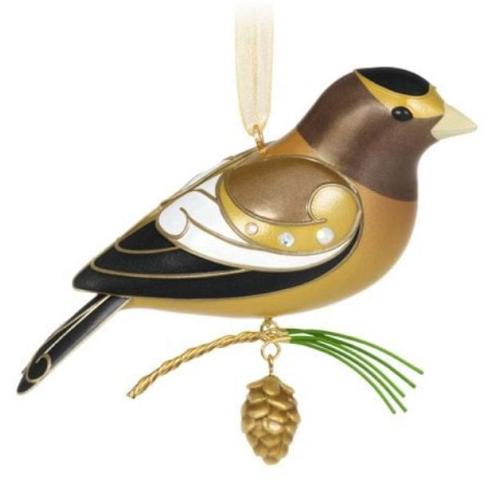 2021 Evening Grosbeak  - Beauty of Birds 16th