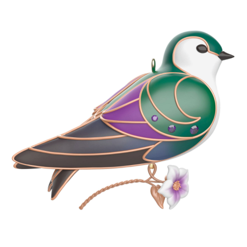 2024 Violet-Green Swallow - The Beauty of Birds 20th